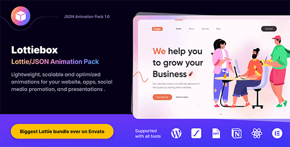 Source Code Lottiebox Lottie Animation Bundle and JSON Animation Kit