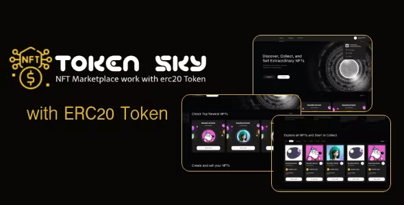 Source Code TokenSky -Full Erc20 Token NFT Marketplace Next js and Solidity